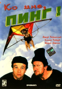 Ко мне, Пинг! (2000) онлайн