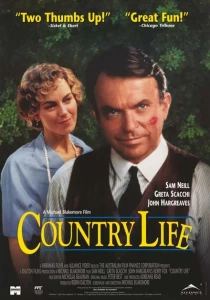 Провинциальный роман (1994) онлайн