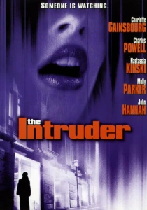 Нарушительница (1999) онлайн