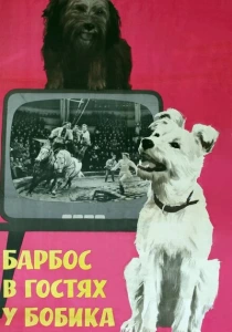 Барбос в гостях у Бобика (1964) онлайн