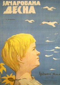 Зачарованная Десна (1964) онлайн