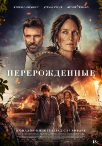 Спящая (2024)